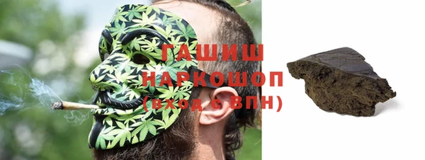 гидра Богданович