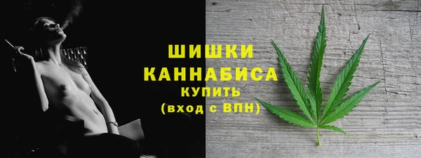 амф Богородицк