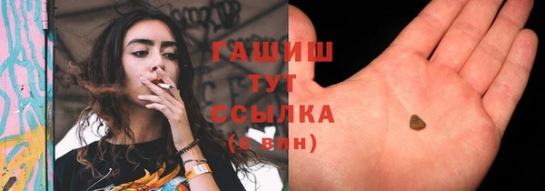 гидра Богданович
