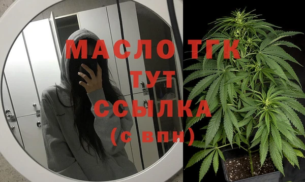 гидра Богданович