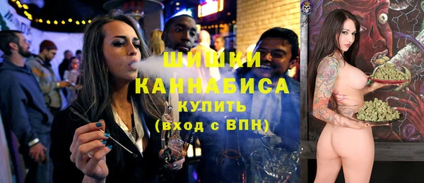 амф Богородицк