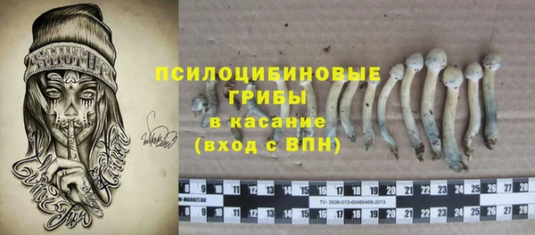 гидра Богданович